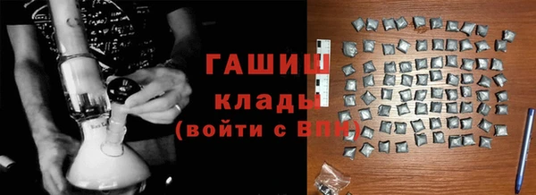 крисы Ельня
