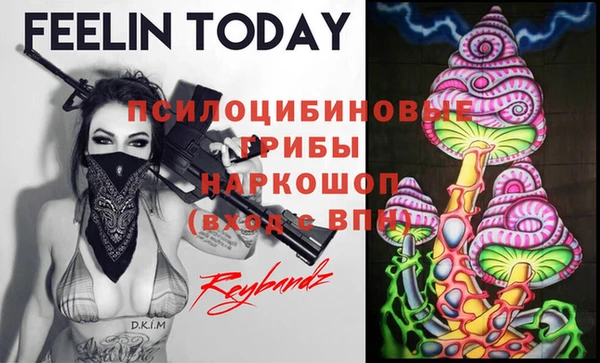 крисы Ельня