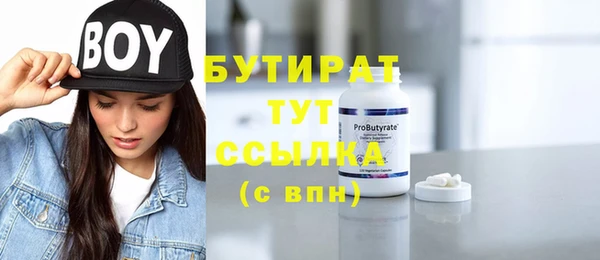 крисы Ельня