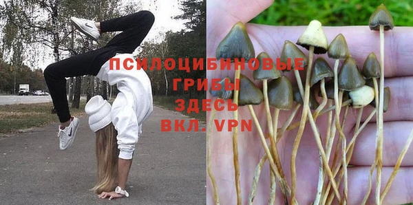 крисы Ельня