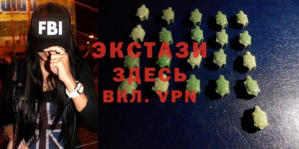 крисы Ельня