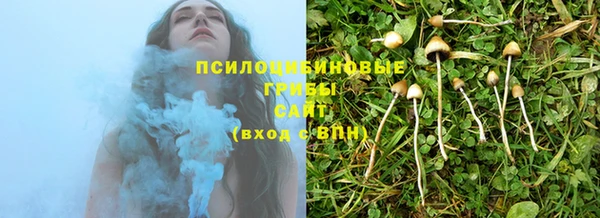 крисы Ельня