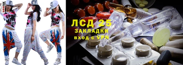 крисы Ельня