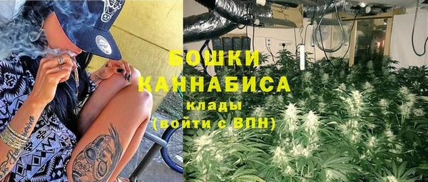крисы Ельня
