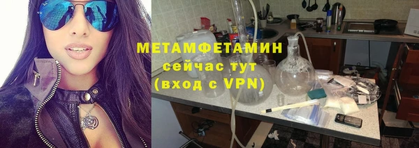 крисы Ельня