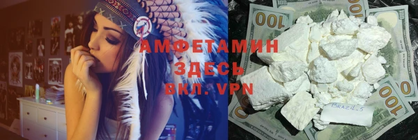 крисы Ельня