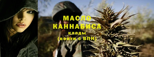 крисы Ельня