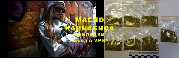 крисы Ельня