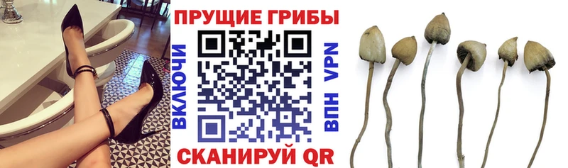 Галлюциногенные грибы мицелий  Купить закладки  Фокино 