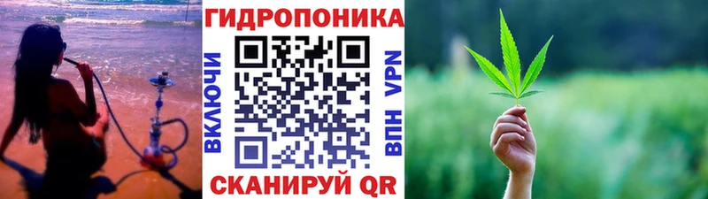 Купить  Фокино  Шишки марихуана сатива 